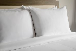 Premier Inn London Eltham Premier Inn London Eltham